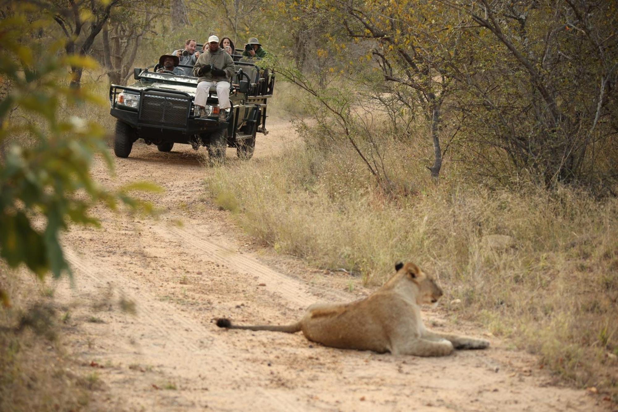 Hotel Karongwe Portfolio - Chisomo Safari Camp à Karongwe Game Reserve Extérieur photo